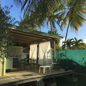 https://charmant-studio-decor-naturel.comcaribbean.com